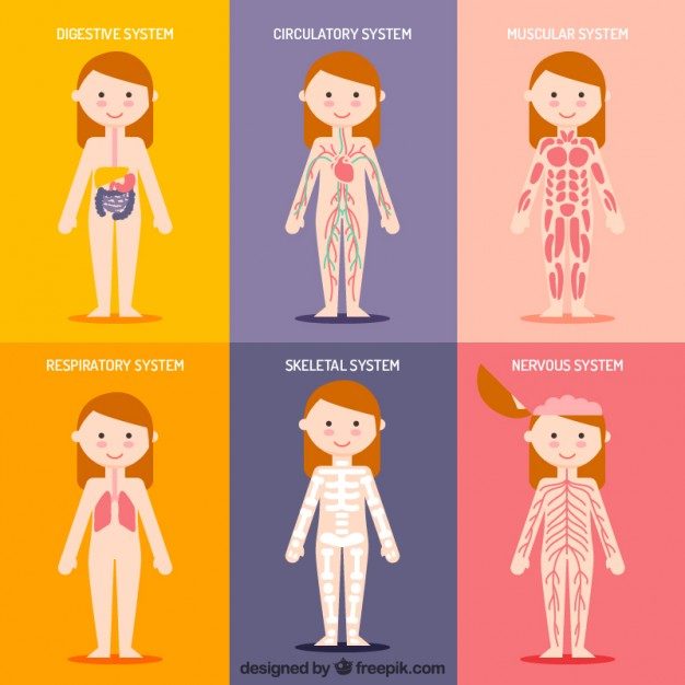 propriedades-da-bertalha-9088053