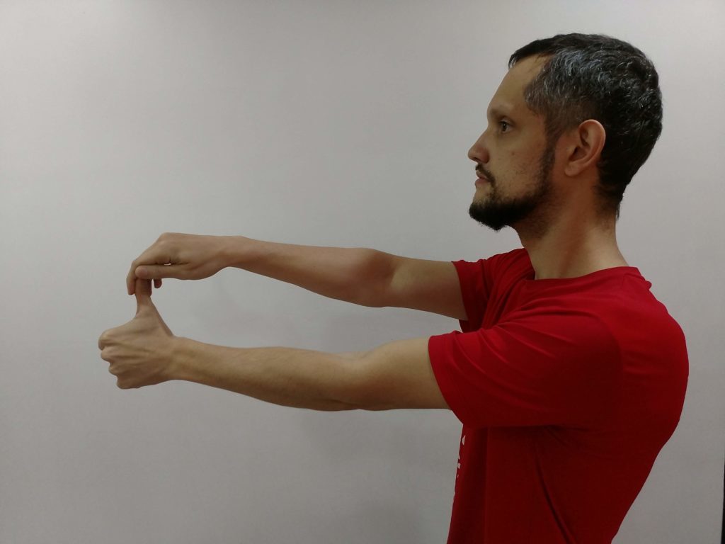 img_20180713_122803679-1024x768-2391227