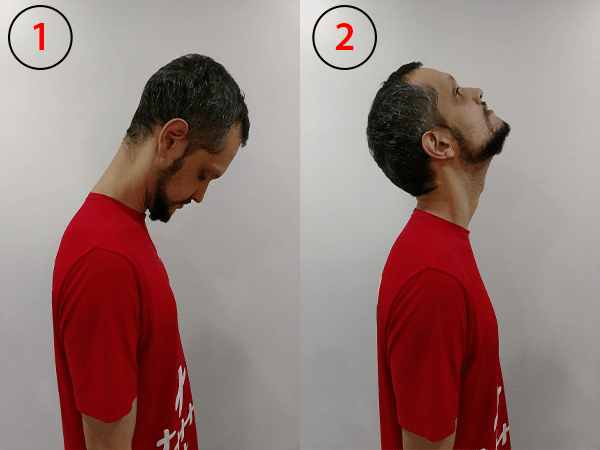 alongamento-pescoco-1780405