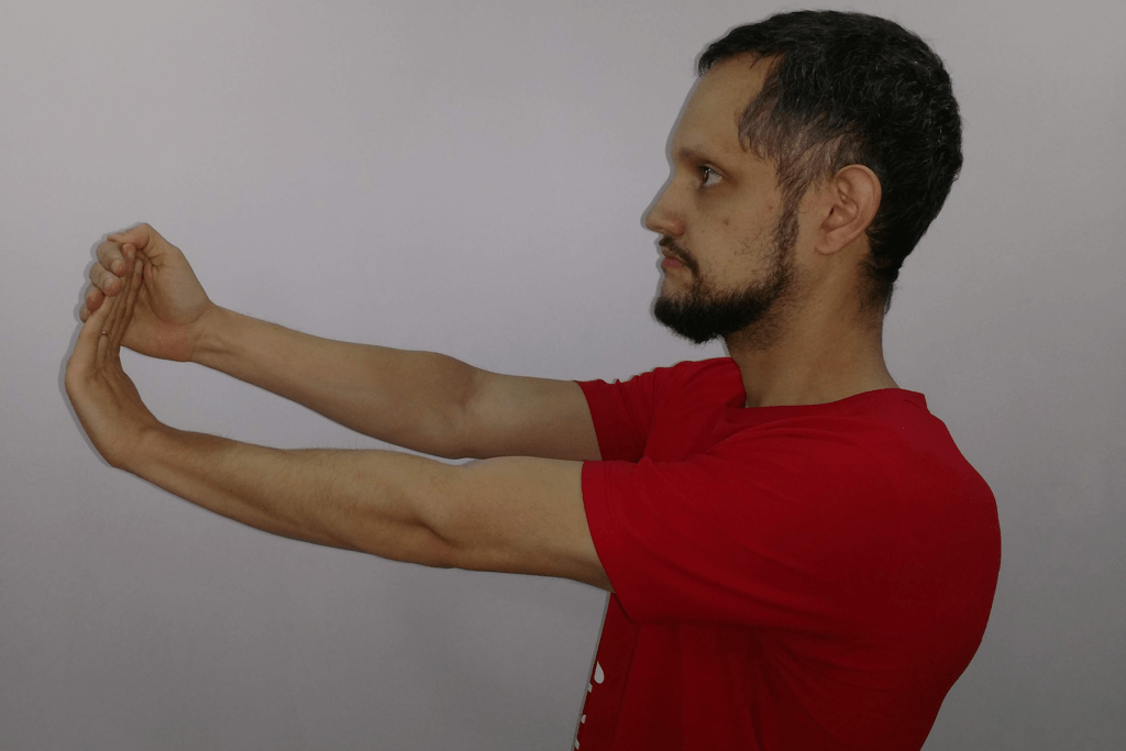 punho-para-cima-1024x683-7873241