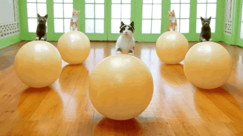 giphy_9-8138548